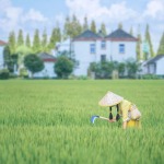 为了谁是谁的个人空间