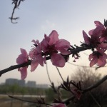 伤心太平洋的九联汇个人空间